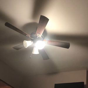 Meet your Posher, Elezadeth